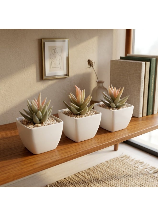 Miniature artificial succulent plant set in elegant white pots (3 pieces) – a modern, natural touch for home and office - Image 1