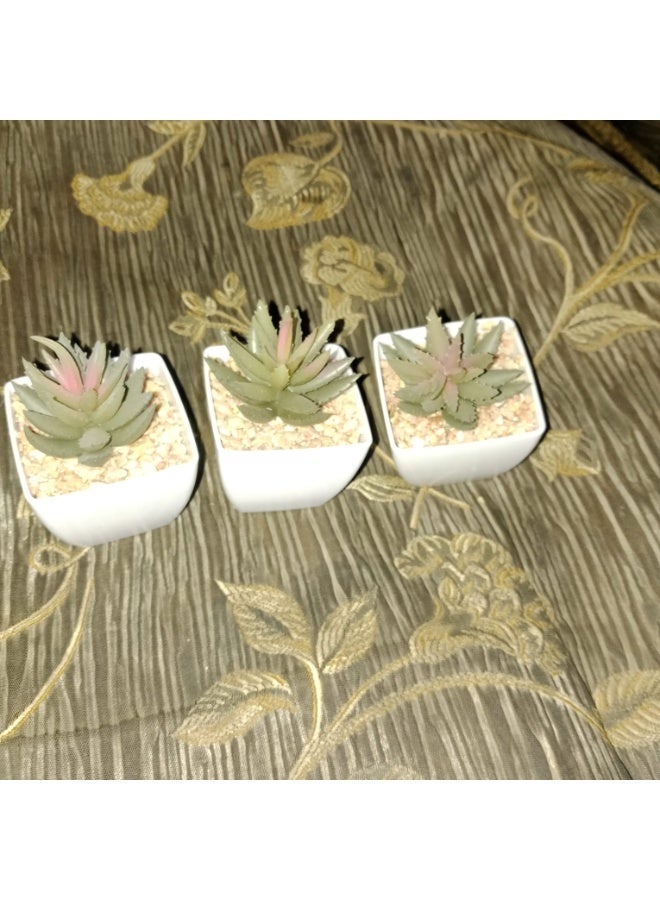 Miniature artificial succulent plant set in elegant white pots (3 pieces) – a modern, natural touch for home and office - Image 3