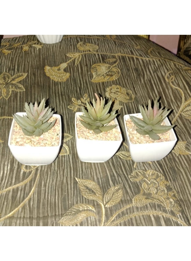 Miniature artificial succulent plant set in elegant white pots (3 pieces) – a modern, natural touch for home and office - Image 4