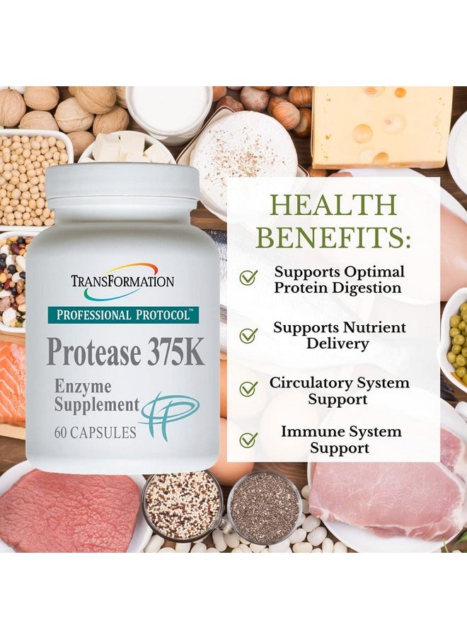 Transformation The Genesis Of Good Health - Transformation Enzymes Protease 375K 60 Capsules 1 Practitioner Recommended 375000 Units Of Protease Activity Supports Circulation Of Oxygen And Nutrients To The Cell For Health And Vitality - Image 1