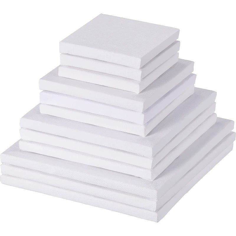 Hestya Assorted Mini Stretched Canvas  12 Pcs Small Square Paint Canvas for Christmas Craft 3456 Inches
