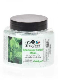 Perfect Mint Face - pzsku/Z57AB9008A4CD44F712B6Z/45/_/1689790909/c6c259dc-bb36-4aa2-9415-09f1d488f119