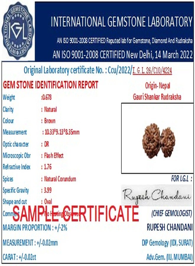Certified Gems Gauri Shankar Rudraksha Original Certified with Capping Shiv Parvati Gowri Shankar Gori Shankar Rudraksha Nepal गौरीशंकर रुद्राक्ष Gauri Shankar Rudraksha Nepali by Certified Gems - Image 4