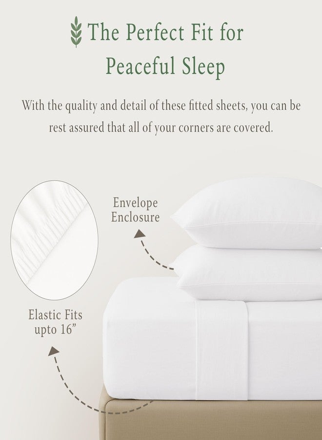 Threadmill Organic Pillow Cases Standard Size Set of 2 | GOTS Organic Certified | Soft, Breathable Luxury Cotton Sheets Perfect for Home, Hotel & Hospital Use | Bright White - Image 2