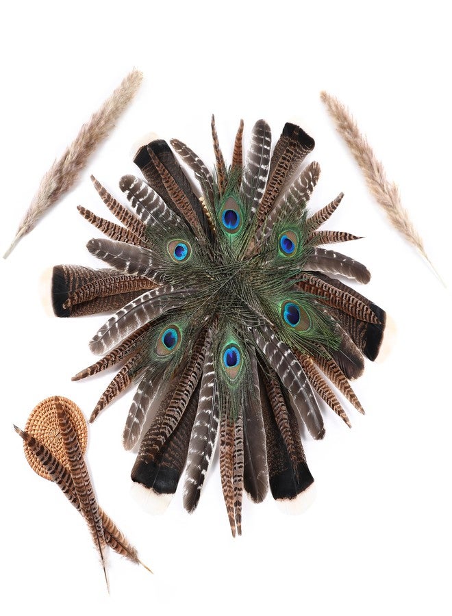 Ballinger Natural Pheasant Craft Feathers - 4 Styles 24pcs Assorted Large Feathers Bulk, Peacock Feathers, Pheasant Feathers, Turkey Feathers for Crafting Vase Hat Wedding Autumn Party Decoration - Image 3