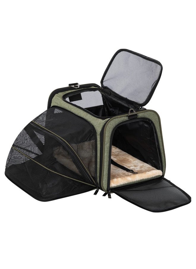 Petsfit Expandable Cat Carrier Dog Carrier,Airline Approved SoftSided Portable Pet Travel Washable Carrier For Kittens,Puppies,Removable Soft Plush Mat And Pockets,Locking Safety Zippers  - Image 1
