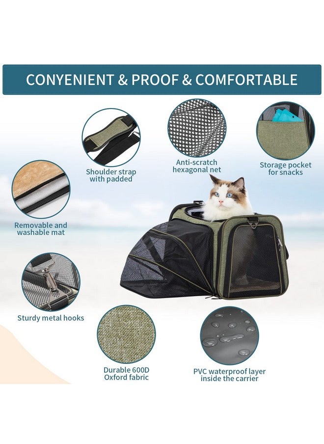 Petsfit Expandable Cat Carrier Dog Carrier,Airline Approved SoftSided Portable Pet Travel Washable Carrier For Kittens,Puppies,Removable Soft Plush Mat And Pockets,Locking Safety Zippers  - Image 4