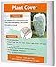 Agfabric Agfabric Frost Protection Bag - 0.95 oz 72'x72'x12' Shrub Jacket, 3D Cube Plant Cover for for Bug/Insect Barrier  - Image 2