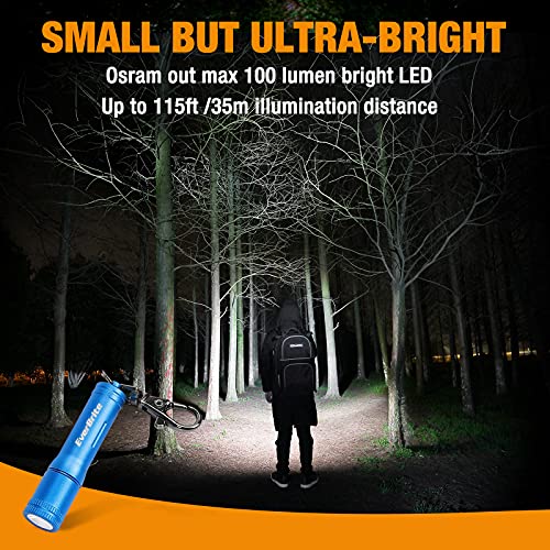 EverBrite Keychain LED Flashlight Mini Bright Key Ring Portable Pocket Torch for EDC, Party Favors, Night Reading, Camping, Power Outage, Emergency, AAA Battery Included, Blue - Image 4