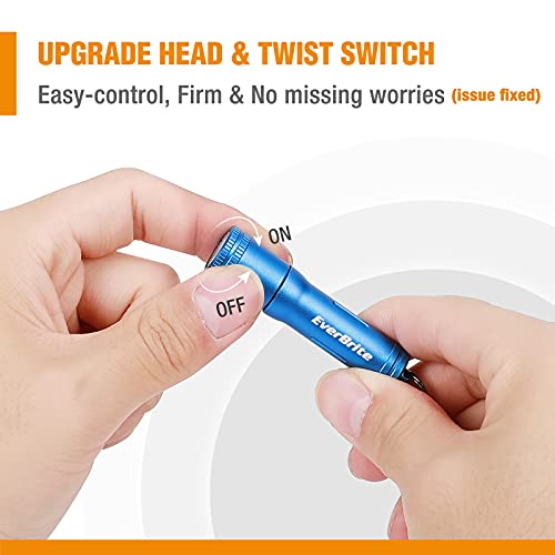 EverBrite Keychain LED Flashlight Mini Bright Key Ring Portable Pocket Torch for EDC, Party Favors, Night Reading, Camping, Power Outage, Emergency, AAA Battery Included, Blue - Image 2