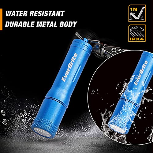 EverBrite Keychain LED Flashlight Mini Bright Key Ring Portable Pocket Torch for EDC, Party Favors, Night Reading, Camping, Power Outage, Emergency, AAA Battery Included, Blue - Image 5