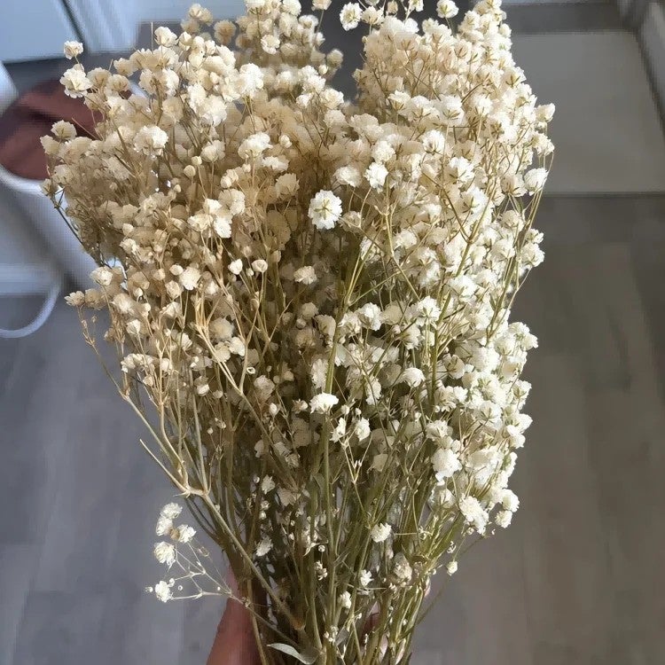 Bluejw Romantic Dried Baby's Breath Bouquet 120g - Natural Dried Flowers Perfect for Weddings, Mother's Day, Valentine's Day & Christmas - Image 1