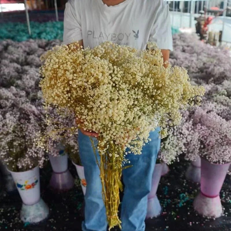 Bluejw Romantic Dried Baby's Breath Bouquet 120g - Natural Dried Flowers Perfect for Weddings, Mother's Day, Valentine's Day & Christmas - Image 2