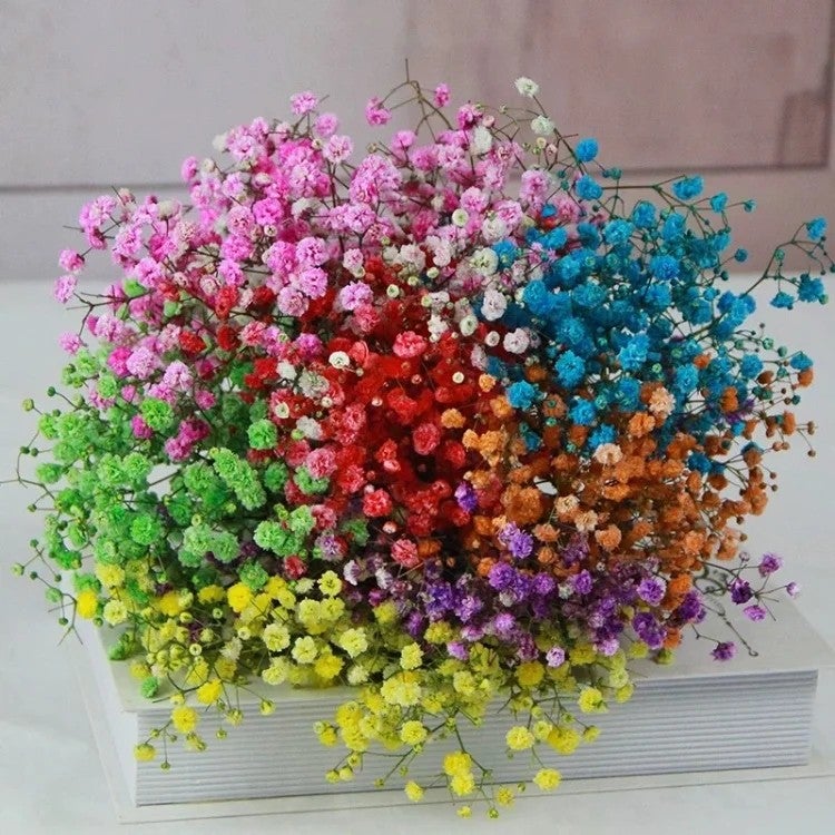 Bluejw Romantic Dried Baby's Breath Bouquet 120g - Natural Dried Flowers Perfect for Weddings, Mother's Day, Valentine's Day & Christmas - Image 4