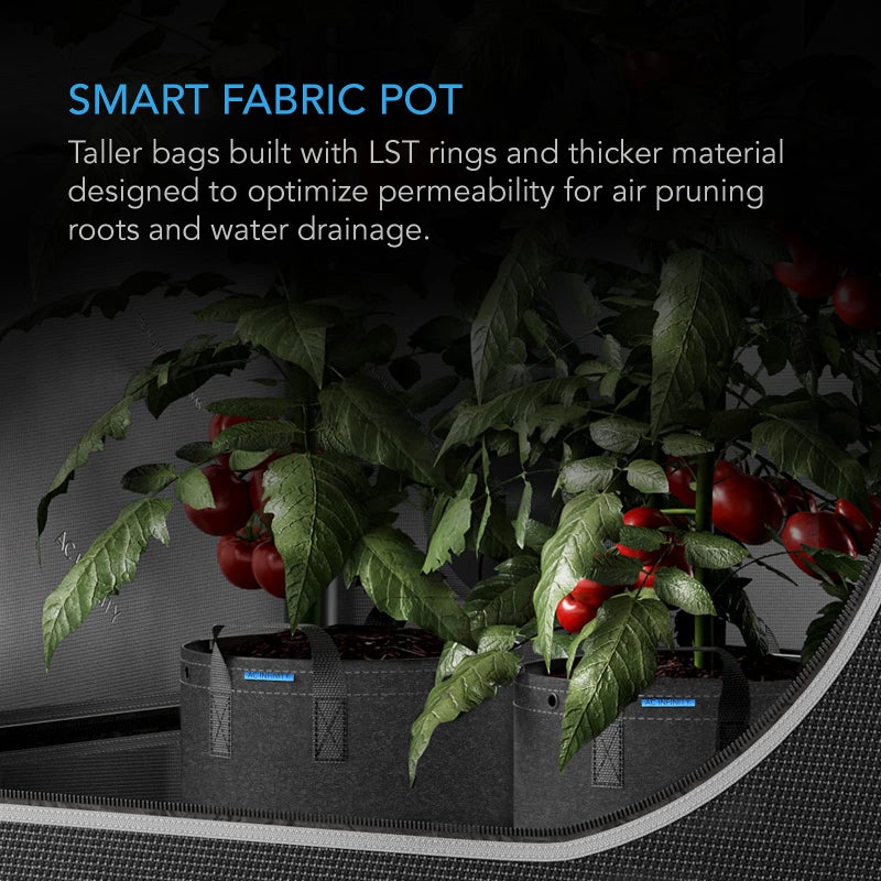 AC Infinity Heavy Duty Fabric Pots, 10 Gallon Aeration Reusable Grow Bags 5-Pack with 500G Thick Nonwoven Fabric and Multi-Purpose Rings, for Low Stress Plant Training Fruits, Vegetables, and Flowers - Image 2