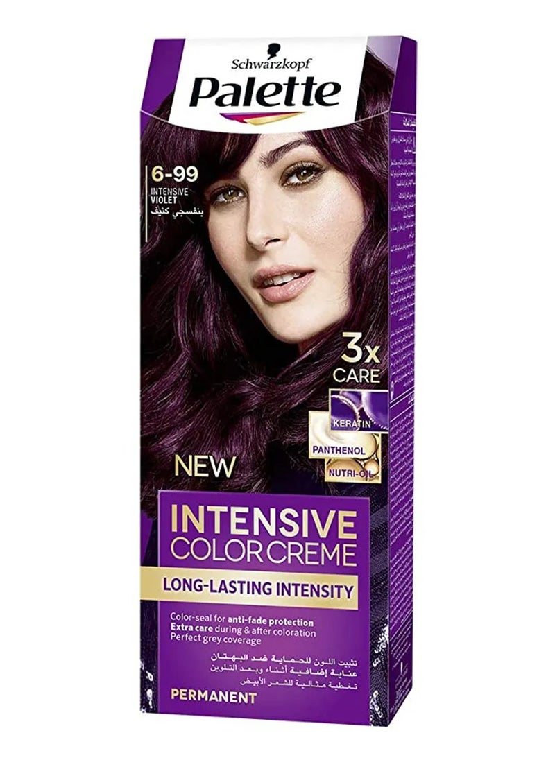 Palette - Palette Intensive Hair Color Cream  6-99 Intense violet - Image 1