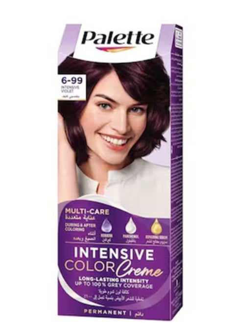 Palette Intensive Hair Color Cream  6-99 Intense violet