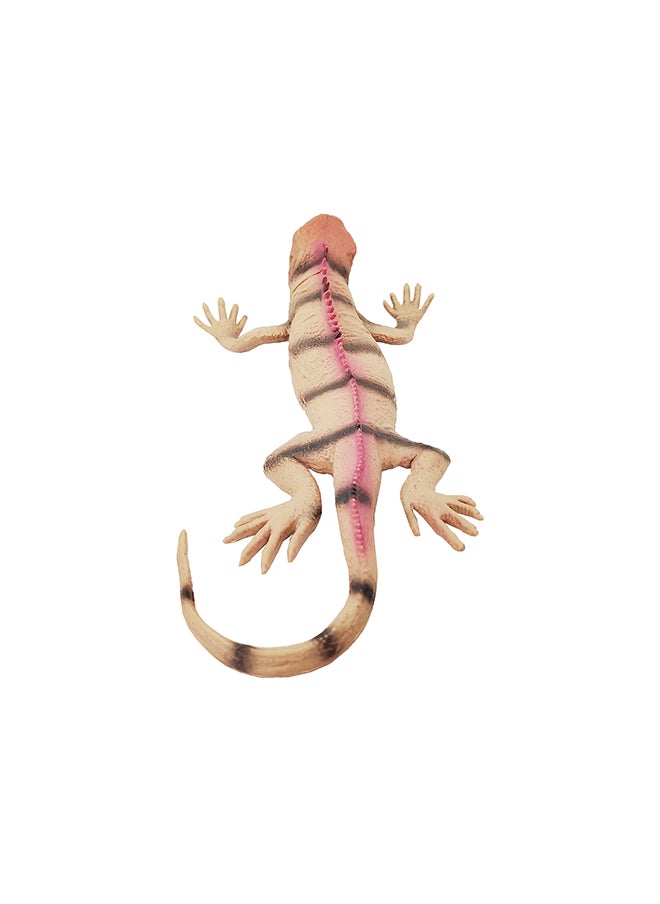 Galaxy Toys - Galaxy Realistic Frilled Lizard Animal Toy - 21-25 cm (Protect Wild Life Series/Insect World Series) with Touch Stimulation - Interactive Educational Toy for Kids, Perfect for Nature Enthusiasts and Wildlife Conservation - Image 1