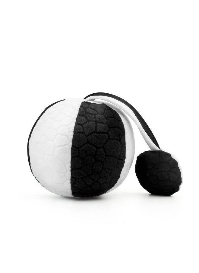 Jollybaby Visual Stimulation Baby Toys 0 3 6 Months High Contrast Sensory Development Toy Activity Soft Plush Rattle Ball With Textured Eye Tracking Newborn Toddler 1 Year Gift (Black & White)  - Image 2
