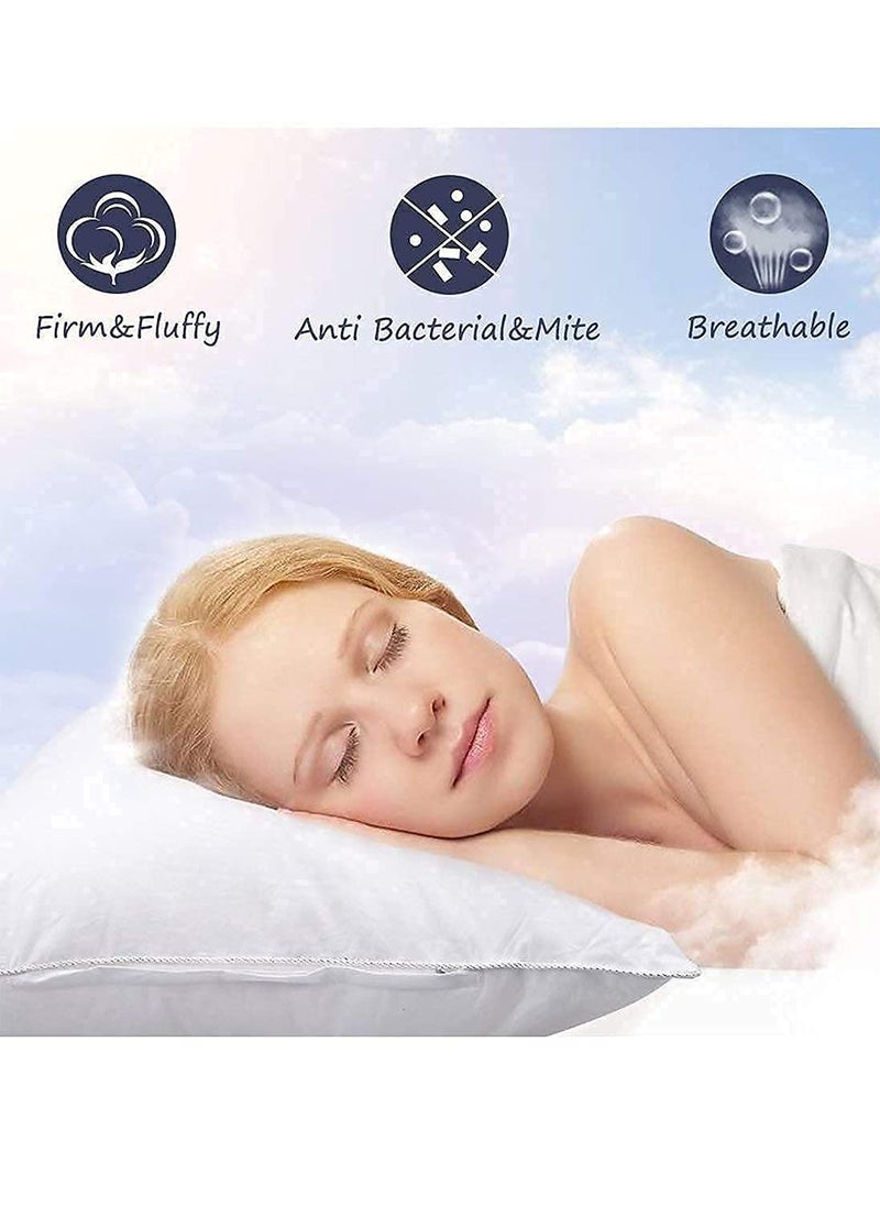 CASA COPENHAGEN Casa Copenhagen Premium Soft Pillows Fillers/Inserts Pack of 2 (16 x 24 inches) - White  - Image 2