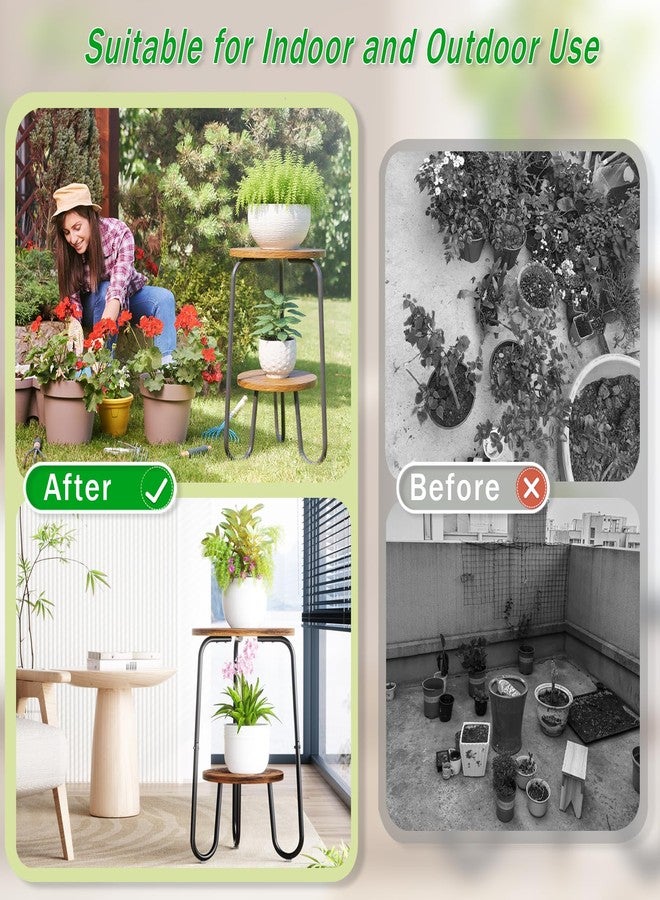 REFGY Plant Stand - Image 5