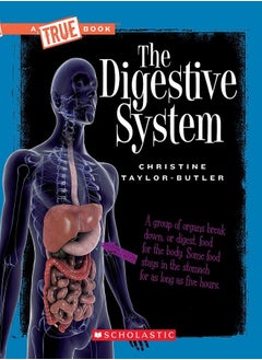 The Digestive System 