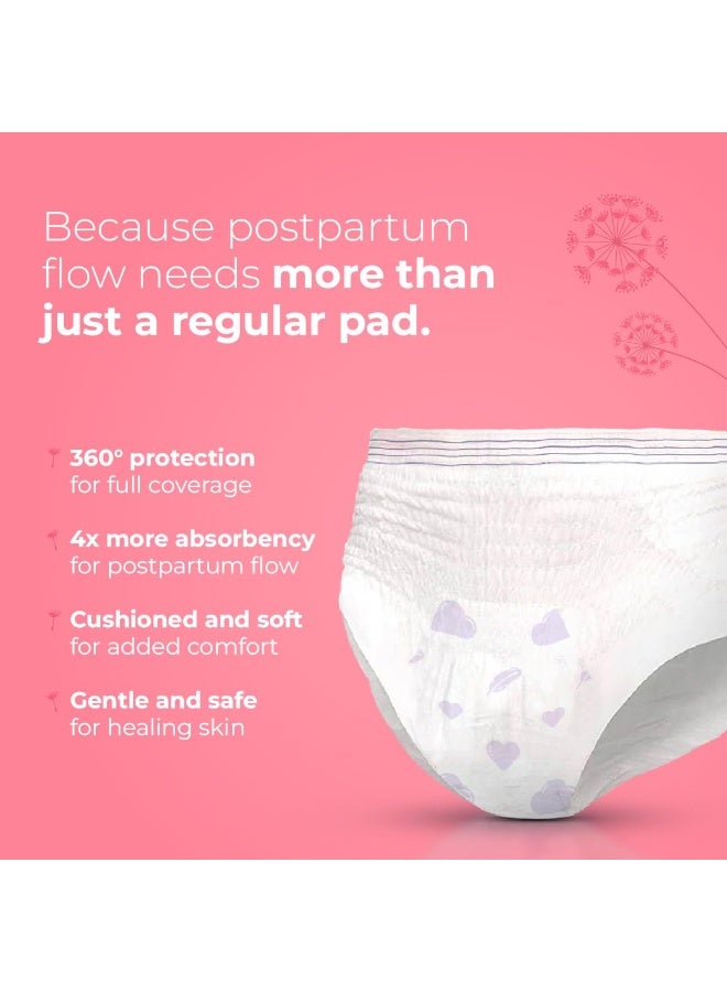 Nua 360° Comfort Maternity Panties XXL-XXXL (38-54 INCHES) | Pack of 5 | For Postpartum Bleeding and Clots | Absorbs Heavy Gushes | Zero Irritation | 4x Comfort | 360 Degree Protection | Soft | Breathable | 100% Toxic-Free, Dermatologically Tested - Image 3