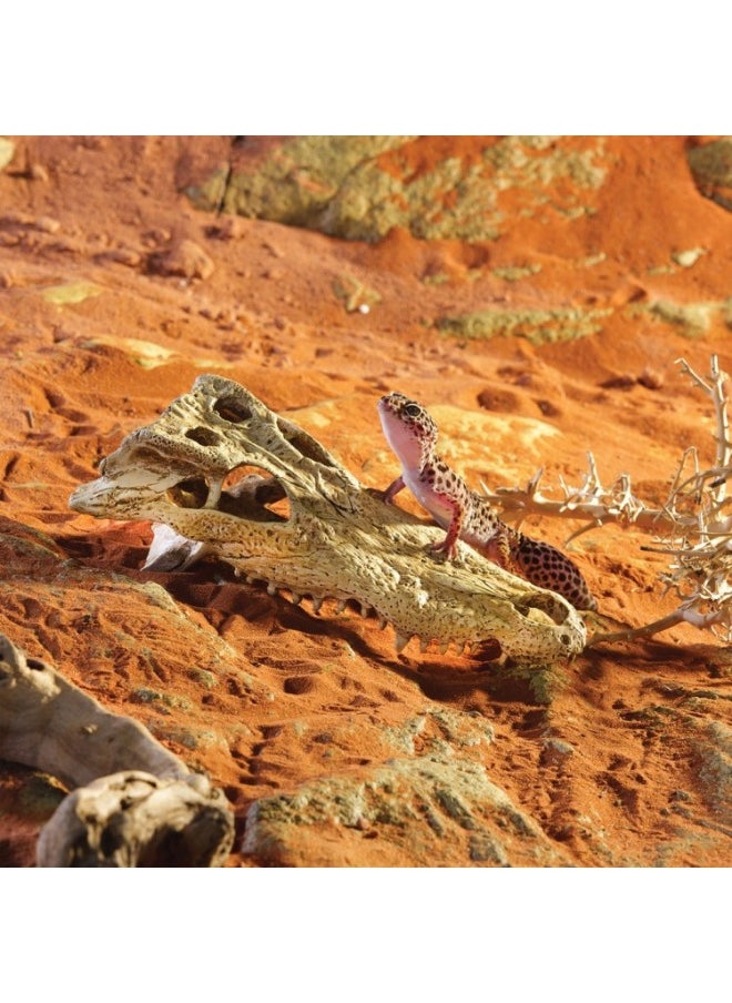 Exo Terra - Exo Terra Crocodile Skull - Image 1