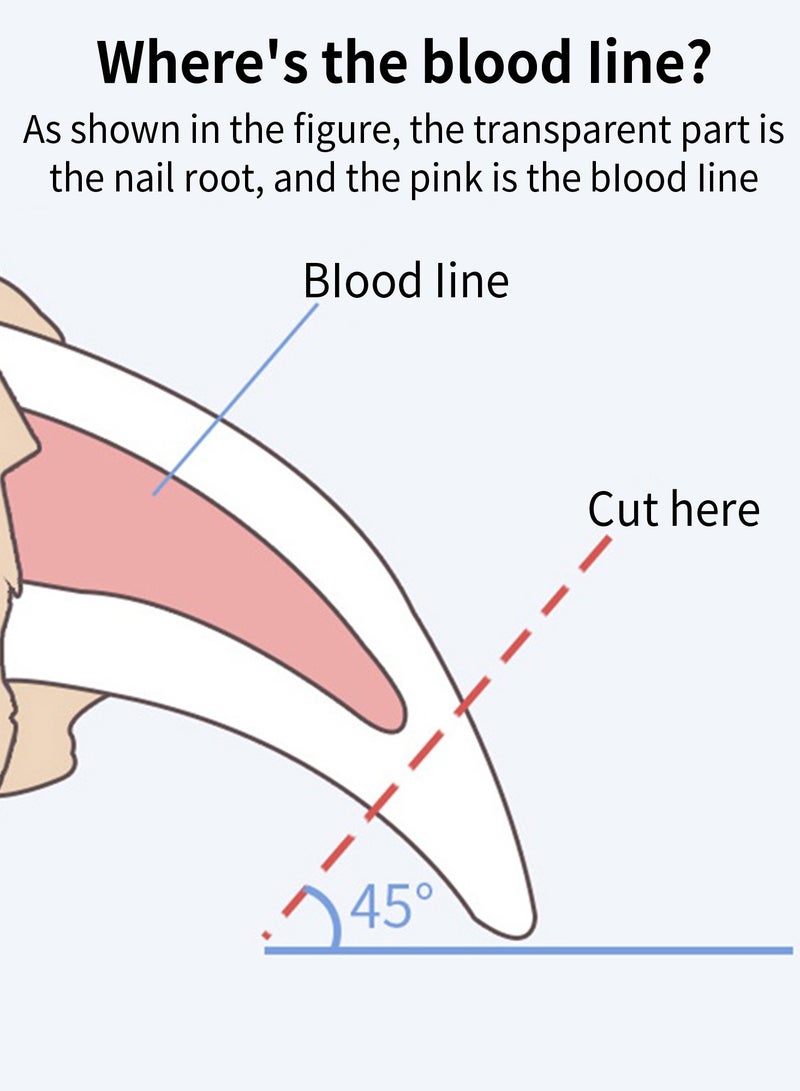 Loquat Pet Nail Clippers, Small Animals Claw Cutters and Scissors Trimmer - Image 4