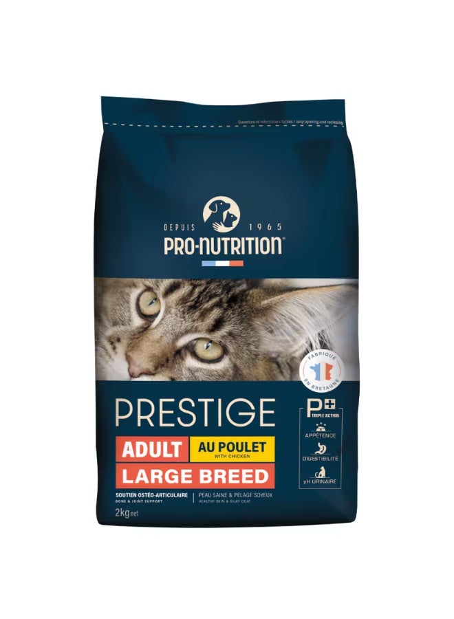 برو نيوتريشن بريستيج للقطط البالغة من السلالة الكبيرة مع الدجاج