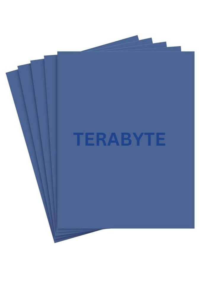 Terabyte A4 Blue Colored Paper 250 GSM 20 Sheets) Thick Bright Blue Color Paper for School Assignment Work and for Office Work Invitation Card wedding card business card craft making cardstock - Image 1