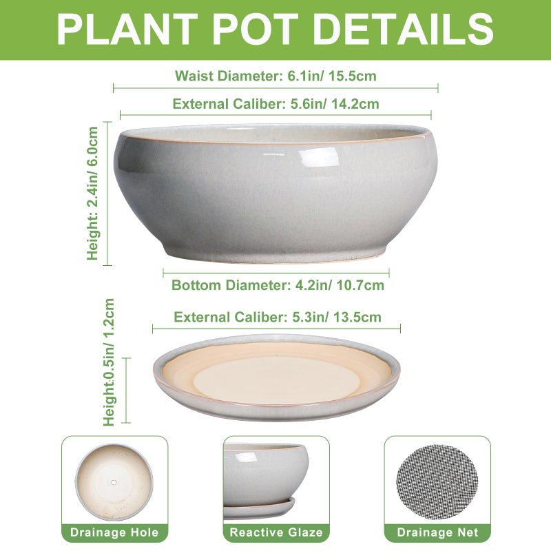 SQOWL Succulent Planters 6 Inch - Ceramic Bonsai Pots with Drainage Hole and Saucer, Shallow Planter for Indoor Plants Outdoor, Round Ceramic Pots for Plants Cactus, Room Decor, Garden Gifts, Gray - Image 2