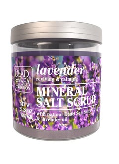 Dead Sea Collection Bundle-Dead Sea Collection Salt Body Scrub -2 X Large 23.28 OZ -Salt Body Scrub Lavender and Salt Body Scrub Tea Tree - Exfoliating Effect-Includes Organic Essential Oils and Natural Dead Sea Minerals  - Image 2