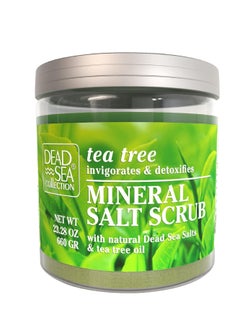 Dead Sea Collection Bundle-Dead Sea Collection Salt Body Scrub -2 X Large 23.28 OZ -Salt Body Scrub Lavender and Salt Body Scrub Tea Tree - Exfoliating Effect-Includes Organic Essential Oils and Natural Dead Sea Minerals  - Image 3