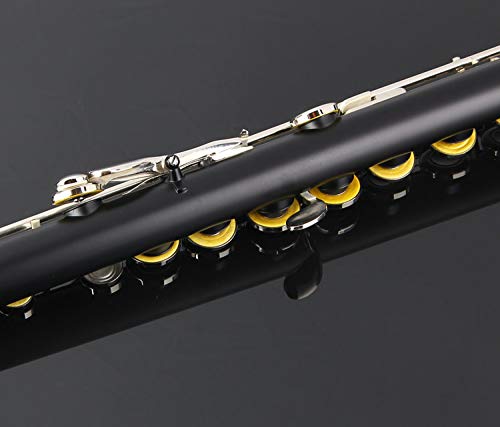 Glory Closed Hole C Flute With Case, Tuning Rod and Cloth, Gloves-black color - Image 3