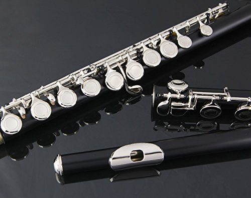 Glory Closed Hole C Flute With Case, Tuning Rod and Cloth, Gloves-black color - Image 4