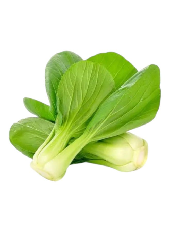 Al-Raei Pak Choi Vegetable Seeds - Non-GMO F1 Hybrid for Salad & Kitchen Garden - Image 2