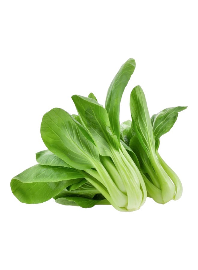 Al-Raei Pak Choi Vegetable Seeds - Non-GMO F1 Hybrid for Salad & Kitchen Garden - Image 4