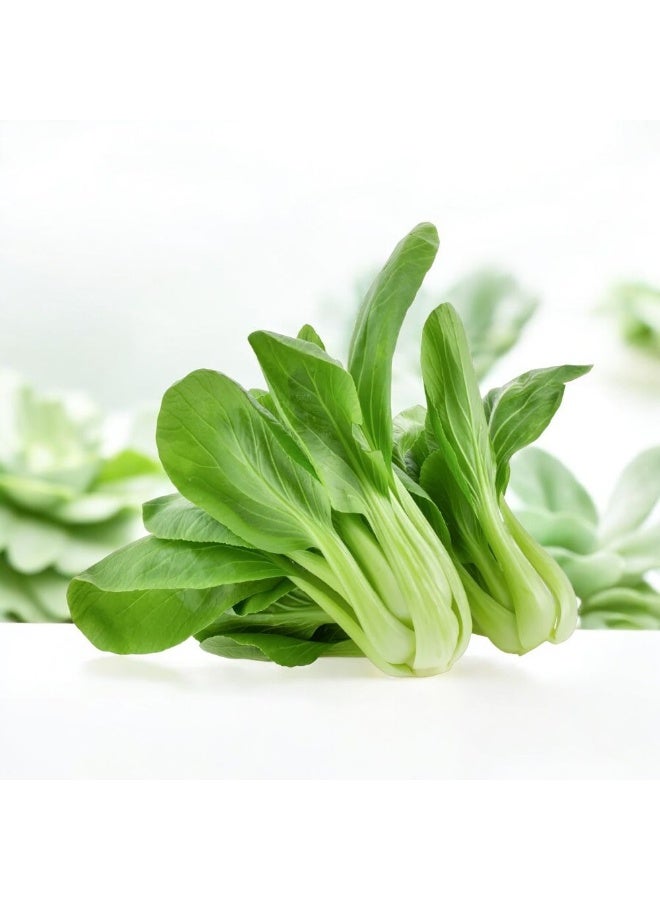 Al-Raei Pak Choi Vegetable Seeds - Non-GMO F1 Hybrid for Salad & Kitchen Garden - Image 3