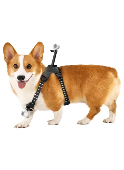 انستا 360 GO 3S Mount Pet Harness - Medium - Compatible with Insta360 GO 3S, GO 3, GO 2, GO