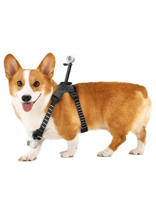 Pet Harness Medium