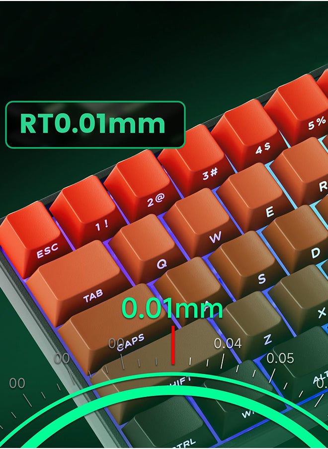 Akko MonsGeek FUN60 Pro Mechanical Keyboard Magnetic Switch 60% Gaming Keyboards Rapid Trigger 0.01mm Tri-modes Single 8K Custom Keyboard