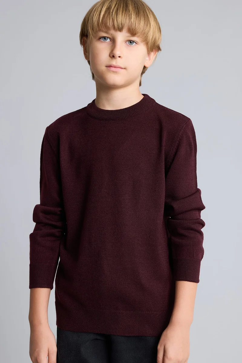ديفاكتو Boy Regular Fit Crew Neck Pullover