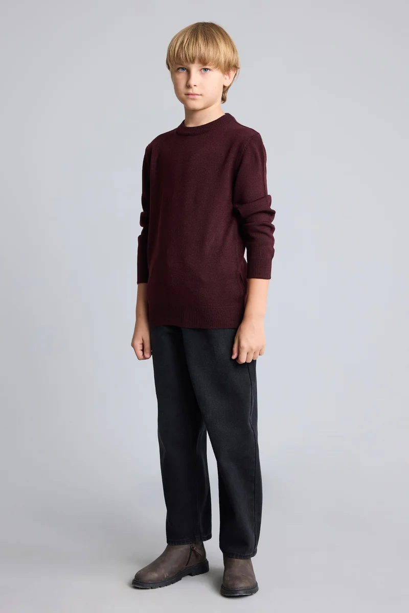 ديفاكتو Boy Regular Fit Crew Neck Pullover