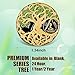 Ferreve Sobriety Coin Recovery Anniversary Token Sobriety Gifts AA Chips and Medallions for Women MenGreen2 Year - Image 4