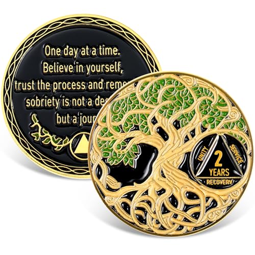 Ferreve Sobriety Coin Recovery Anniversary Token Sobriety Gifts AA Chips and Medallions for Women MenGreen2 Year - Image 2