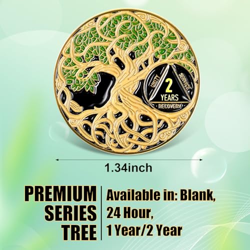 Ferreve Sobriety Coin Recovery Anniversary Token Sobriety Gifts AA Chips and Medallions for Women MenGreen2 Year - Image 5