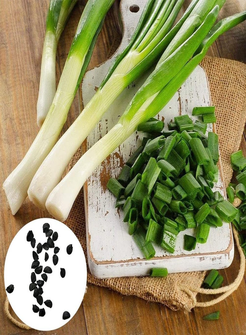 GGOOT 100Pcs Shallot Seeds Grow Kit Vegetable Seasoning Seeds Garden Farm Bonsai Plants Seedlings Seeds 1 - Image 2
