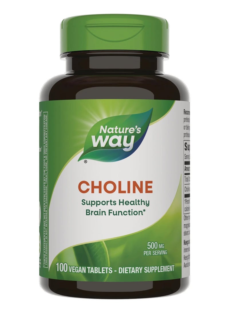 Nature's Way Choline 500Mg 100 Vegan Tablets Brain Health Vegan Dietary Supplement - Image 1