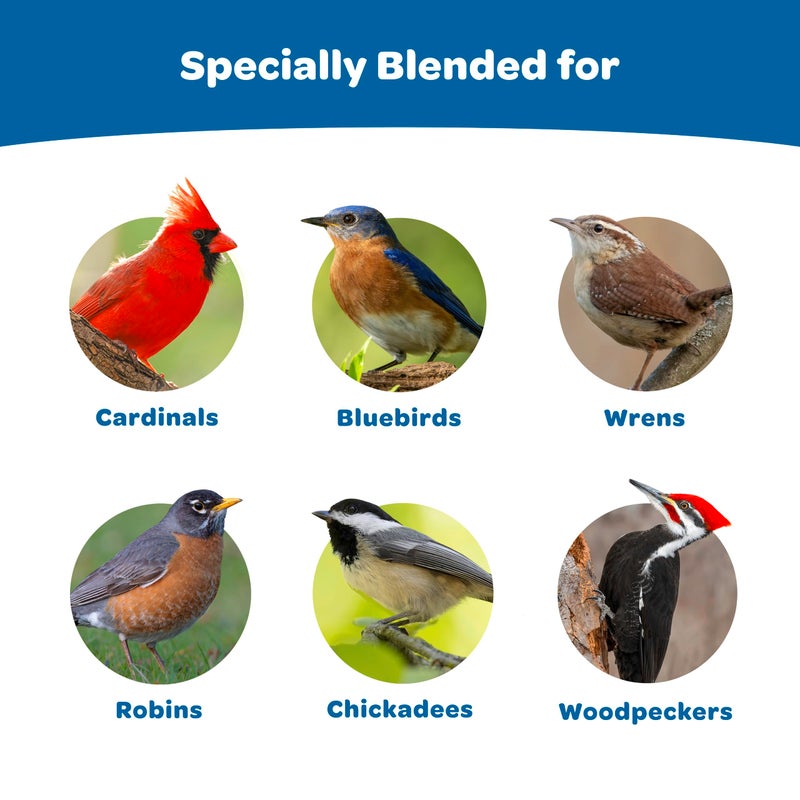 Kaytee Wild Bird Gourmet Seed Cake For Cardinals, Chickadees, Juncos, Titmice, Woodpeckers and More, 2 Pounds - Image 2